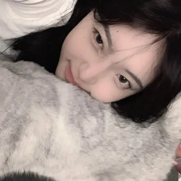 鳄鱼藏尸日记